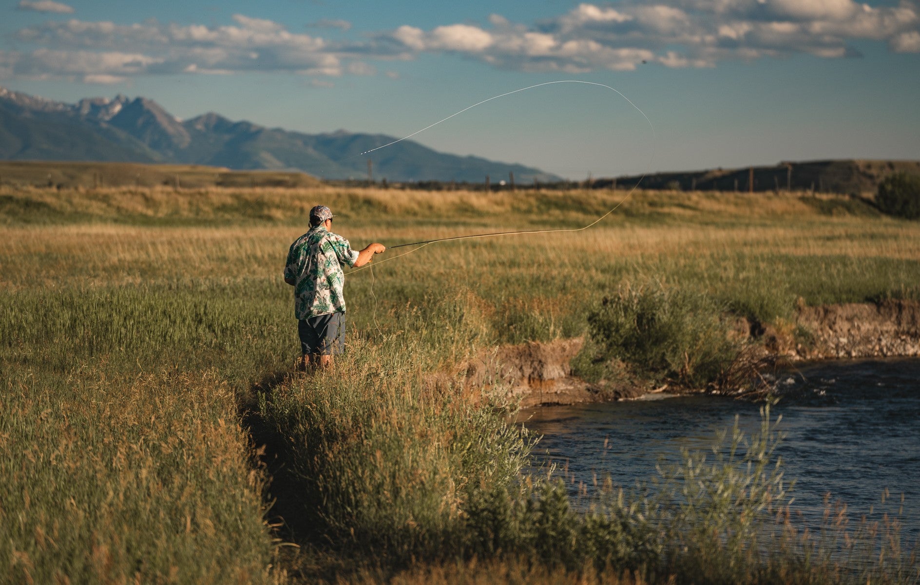 Fly Lines – Madison River Fishing Company