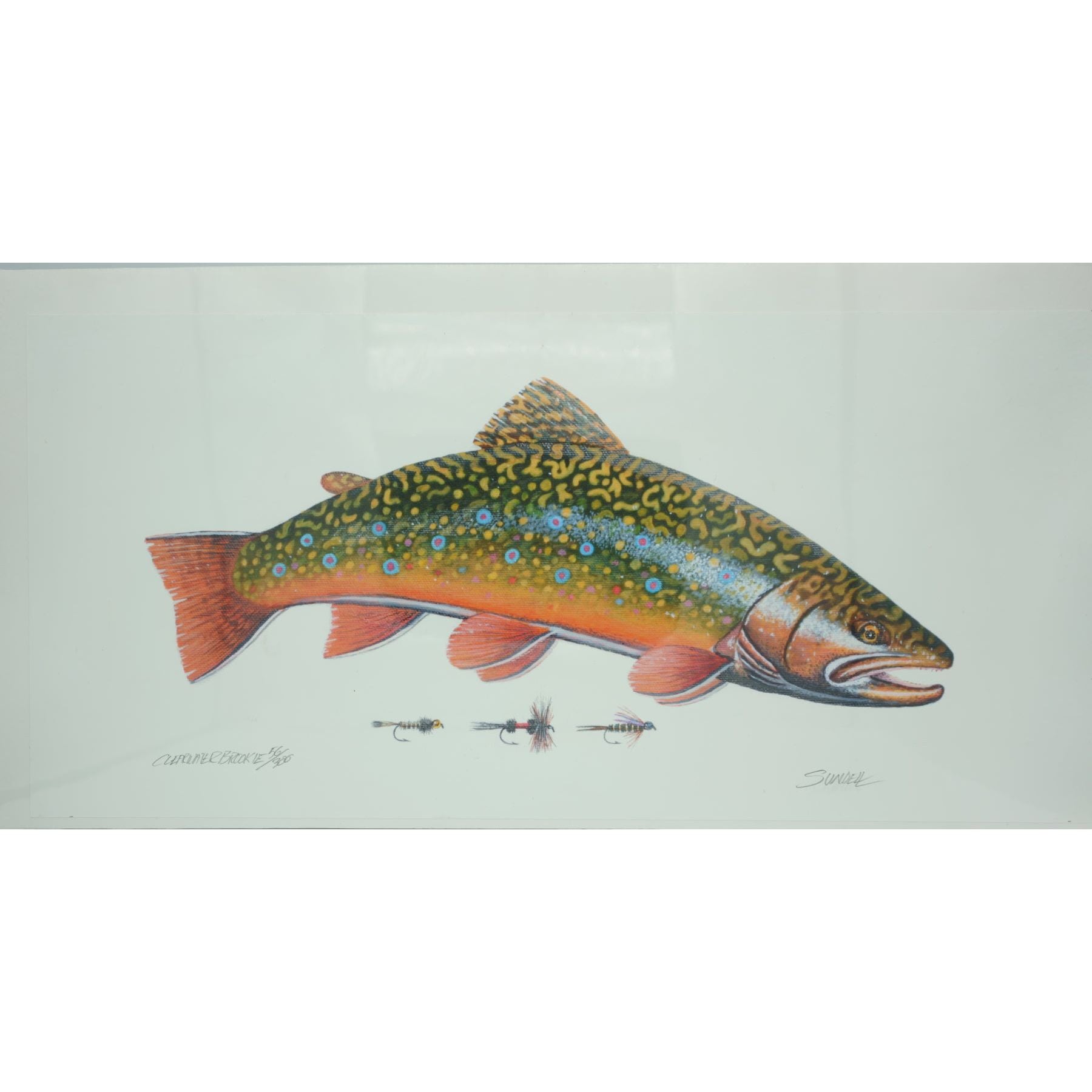 Michigan Sticker Decal Fly Fishing Line Trout Rainbow Musky TFO