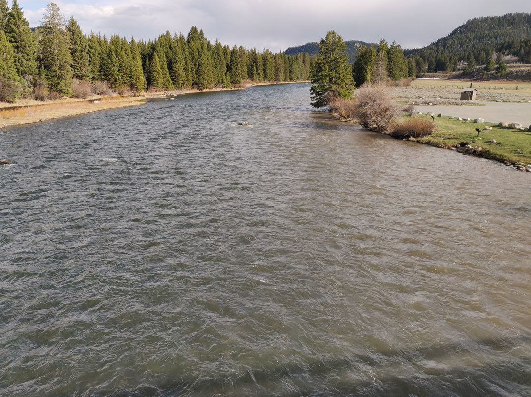 First Push of Brown Water