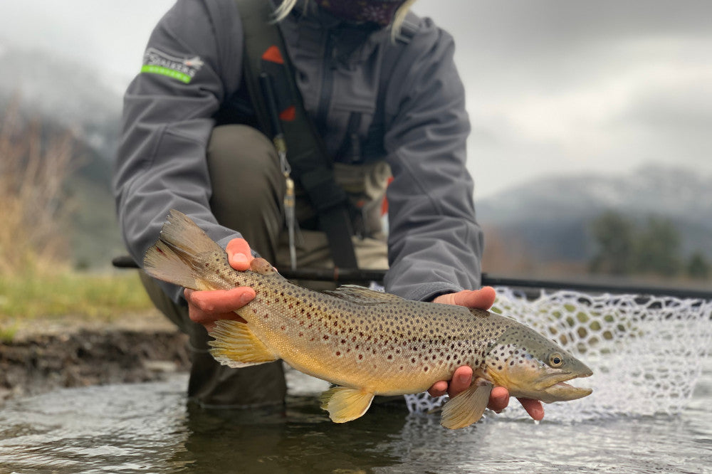 Pre-Runoff May Fishing