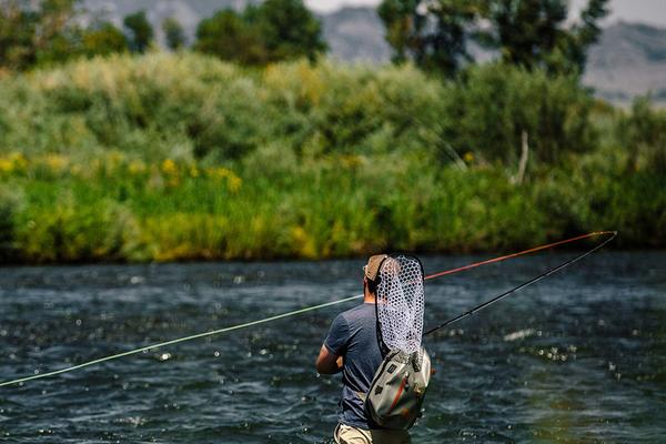 Trout Spey