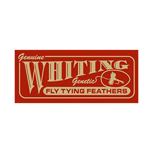 WHITING