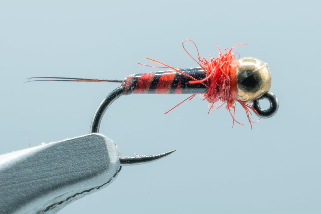 Barbless Euro Czech Nymphing Trout Fly Fishing Flies | One Dozen Tungsten  Beaded Fly Assortment