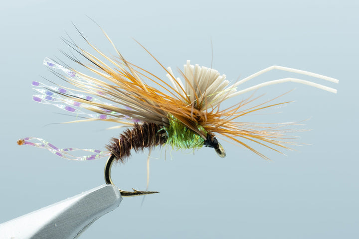 AC Caddis Pheasant Tail #14