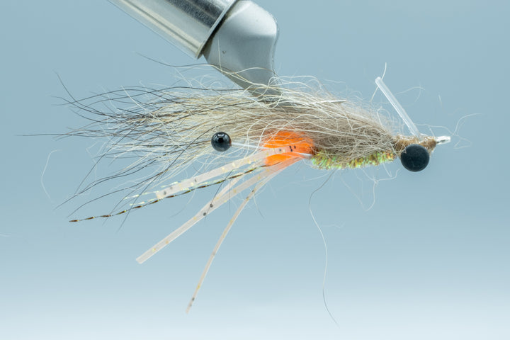 Lum's Coyote Shrimp Lead Eye