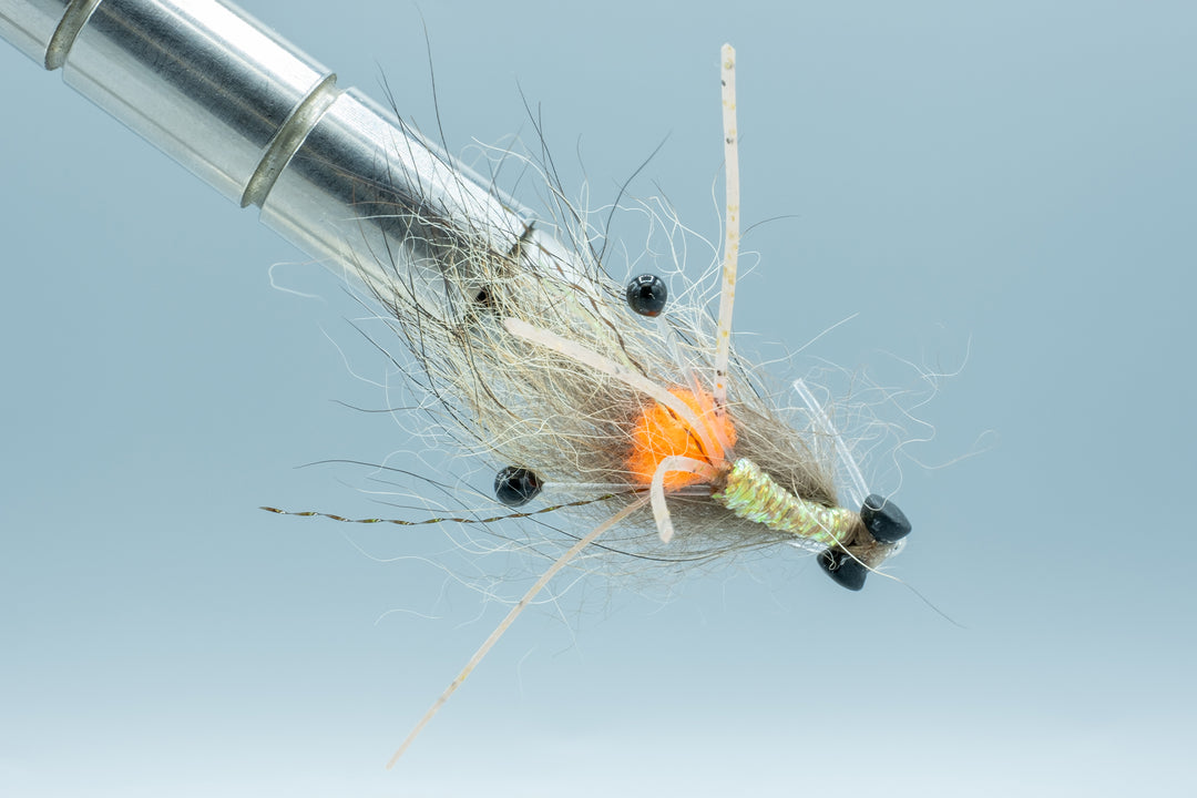 Lum's Coyote Shrimp Lead Eye