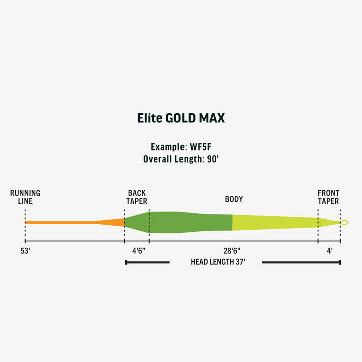 RIO Elite Gold Max Fly Line