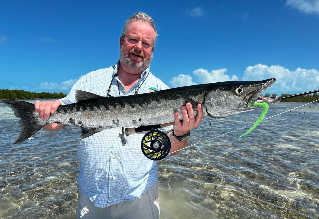 Bahamas Barracuda License Plate Art