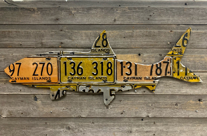 Cayman Islands Bonefish License Plate Art