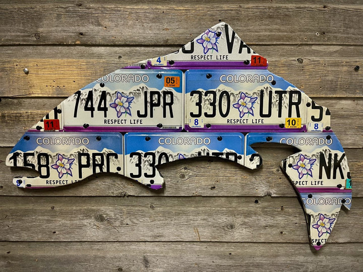 Colorado Columbine Trout License Plate Art