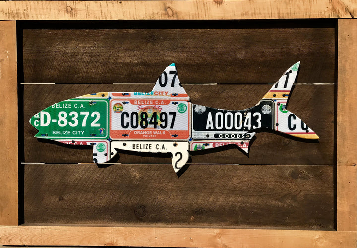 Belize Bonefish License Plate Art