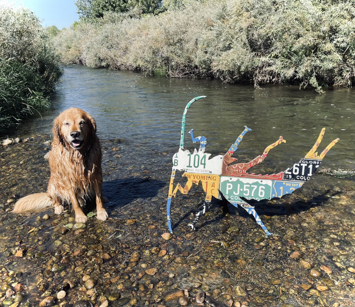 Mixed Western Stonefly License Plate Art