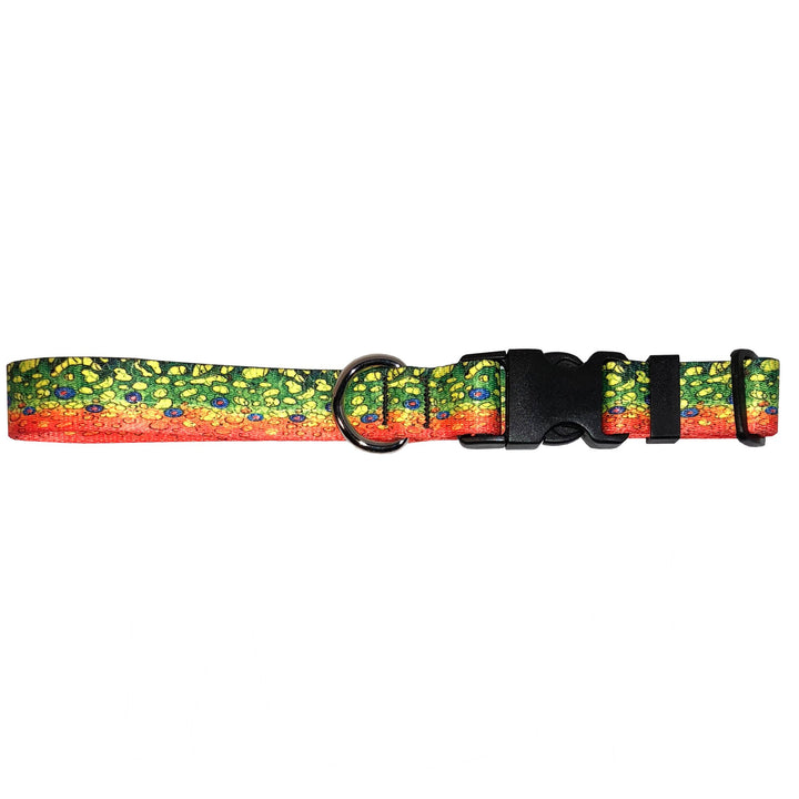 Cognito Dog Collar Brook Trout #2